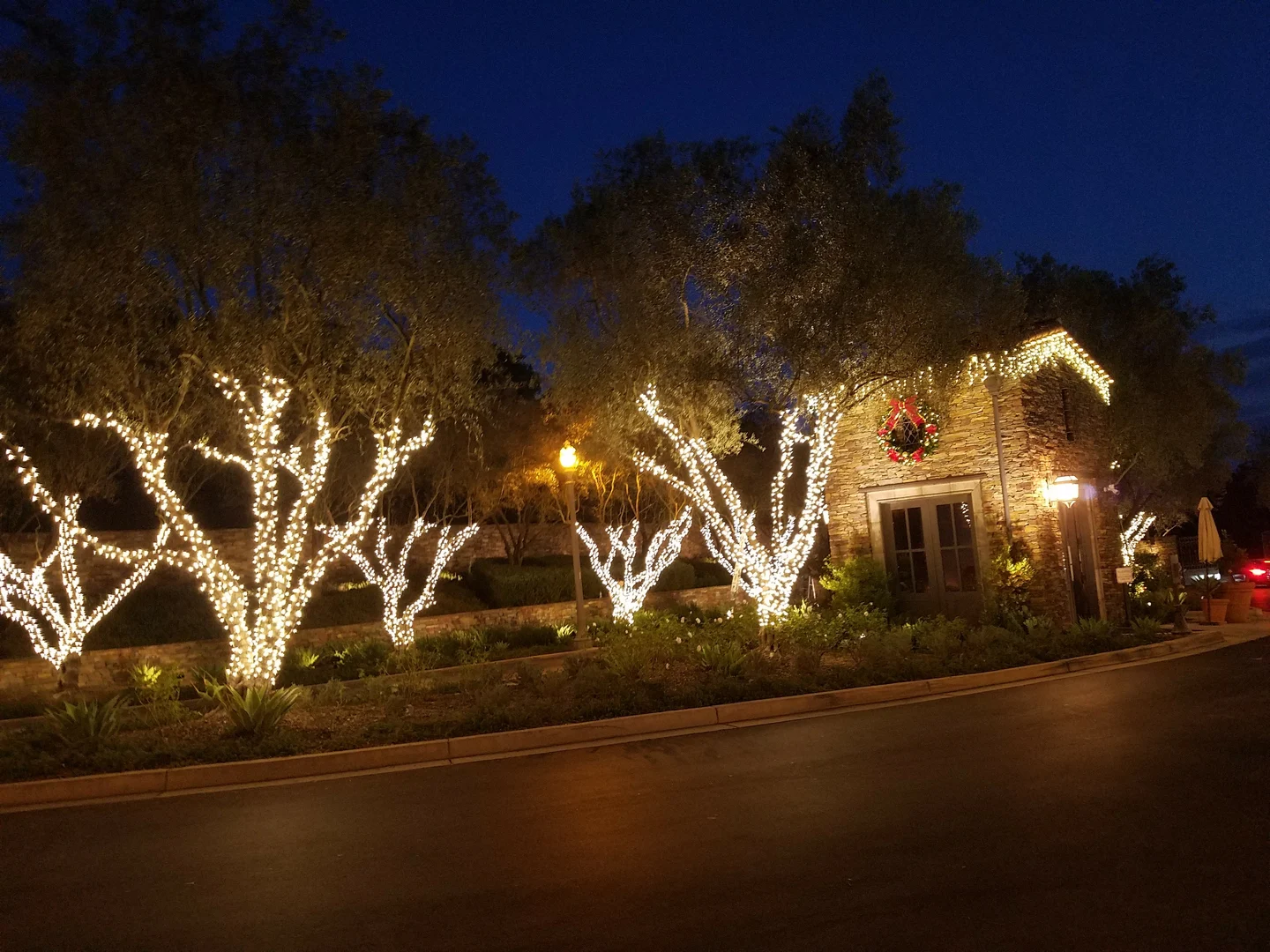 Residential Christmas Lighting in South West FL