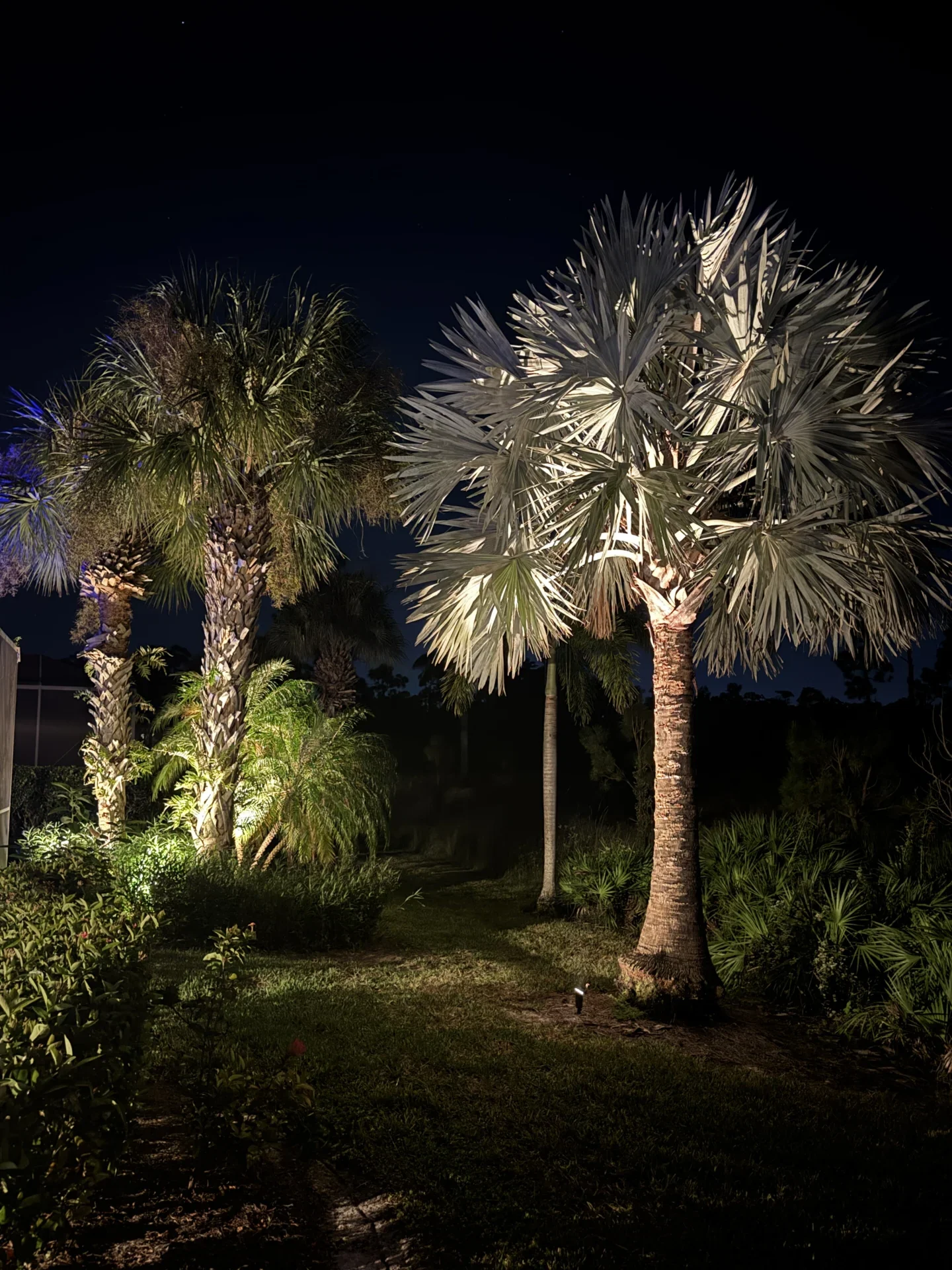 outdoor landscape design