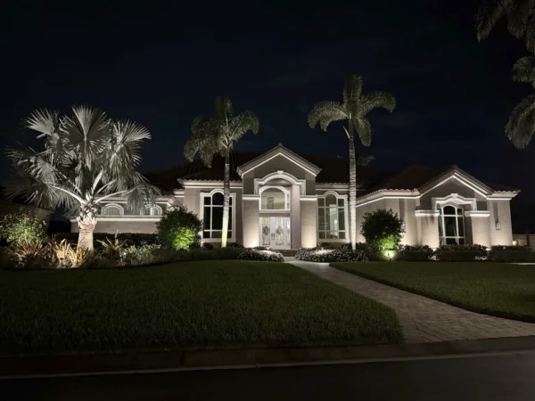 Outdoor Landscape LIghting